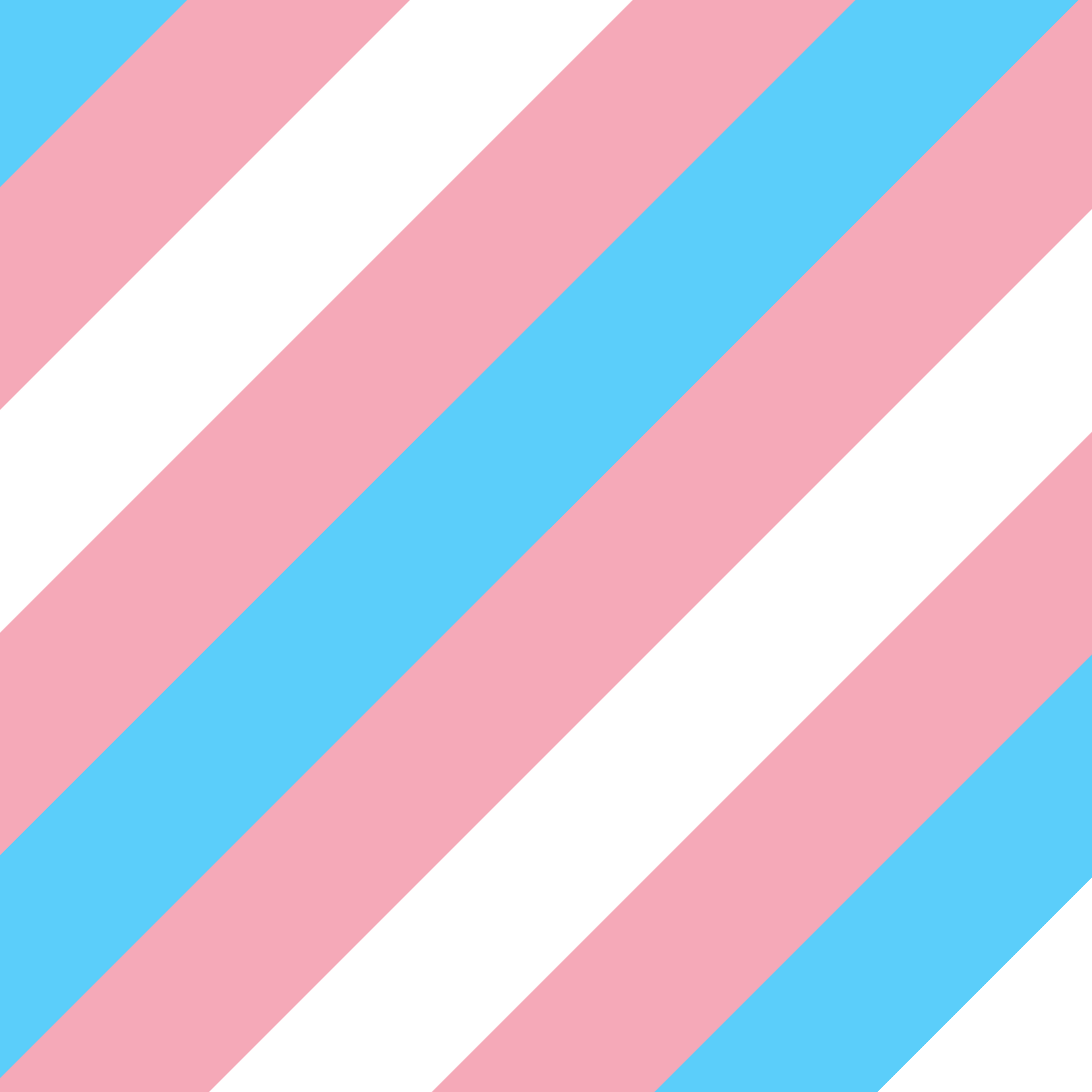 The Trans Pride Collection